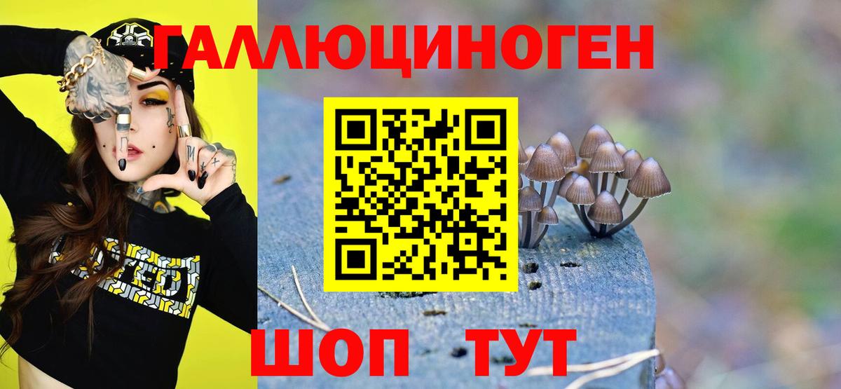 Псилоцибиновые грибы GOLDEN TEACHER Калининград