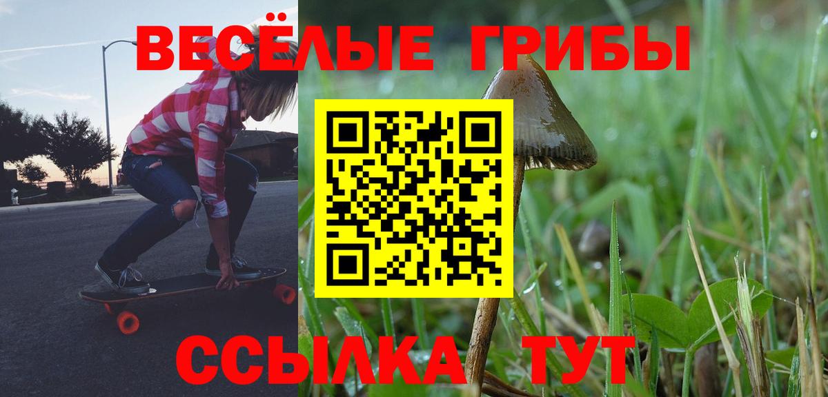 где найти   Вход с VPN  Калининград  Галлюциногенные грибы мицелий  Галлюциногенные грибы MAGIC MUSHROOMS 